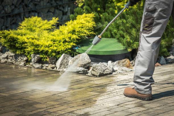 Best Soft Washing  in Boardman, OR